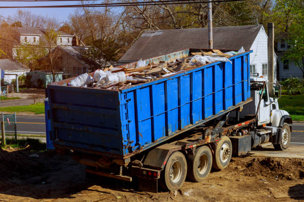 Best Demolition Debris Removal  in Danvers, IL