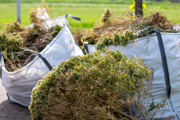 Best Residential Junk Removal  in Danvers, IL